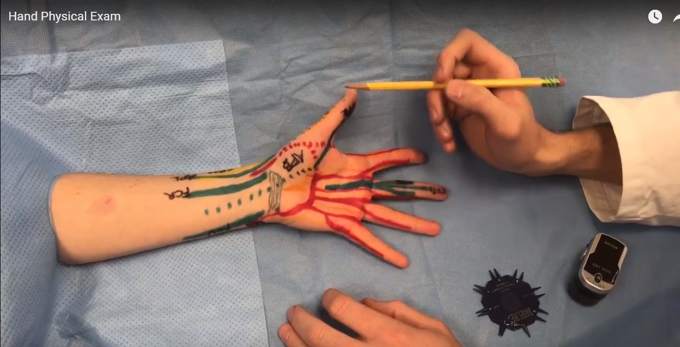 Physical Examination of the Hand —