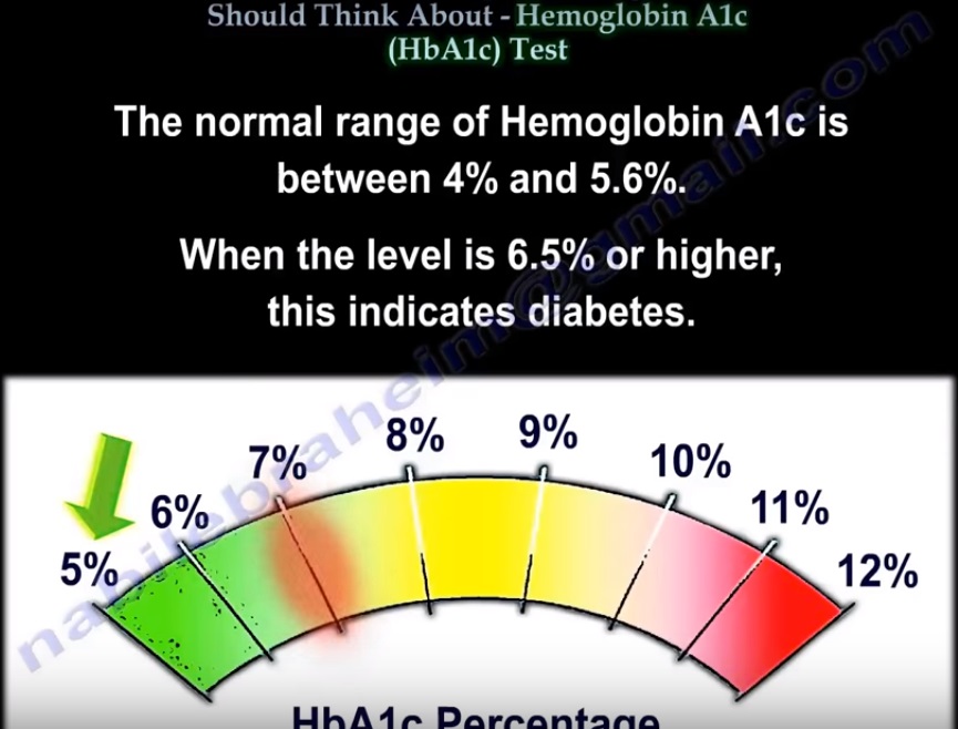What Does Medical Term Hba1C Mean at Mae Dennis blog