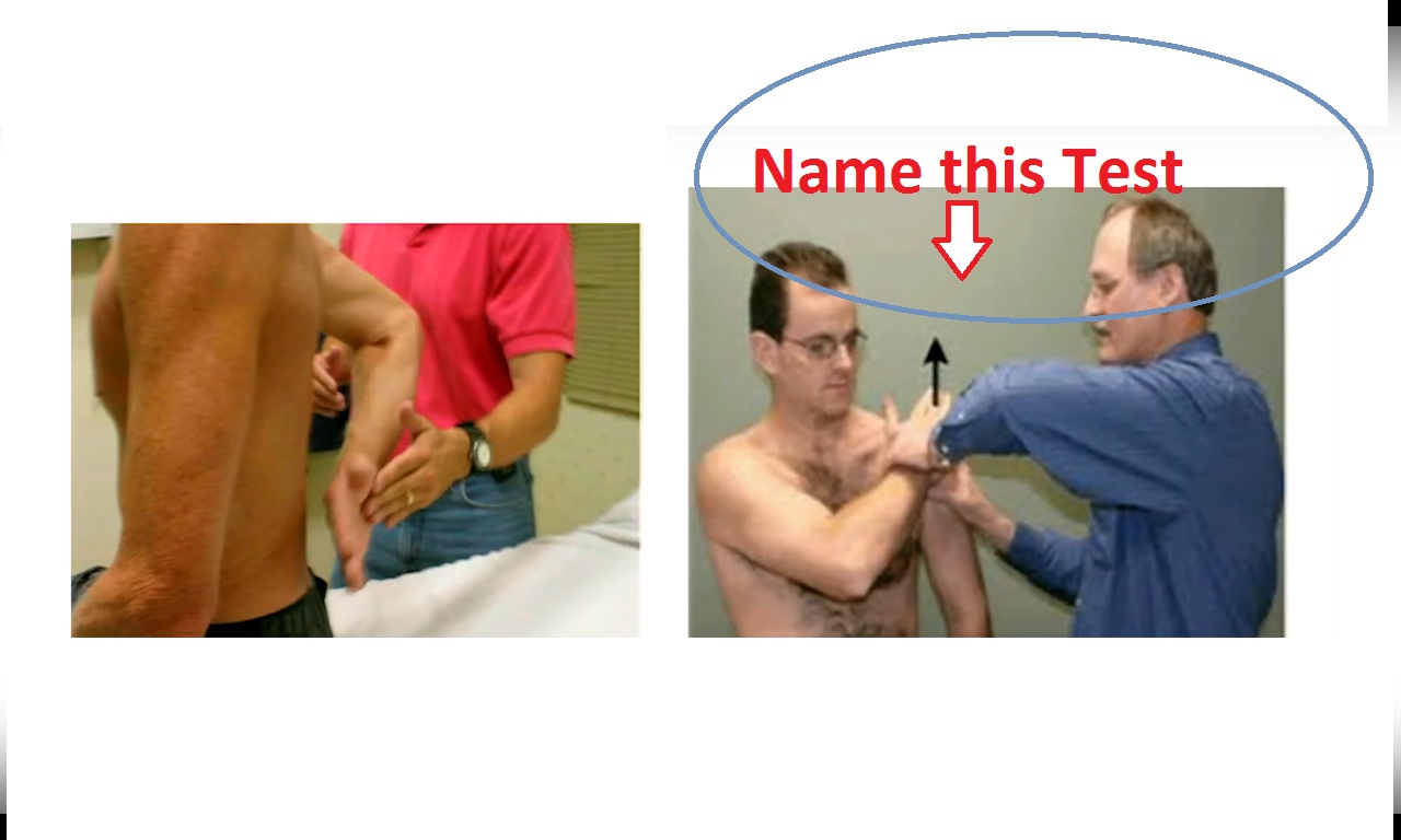 [PDF] Download Orthopedic Physical Examination Tests: An.