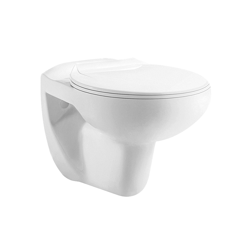 ORTONBATH™ SMALL SIZE RIMLESS WALL MOUNTED TOILET BOWL WITH CONSEALED