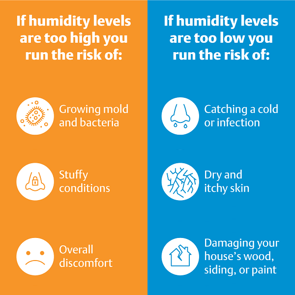 Humidifier Air Purifier