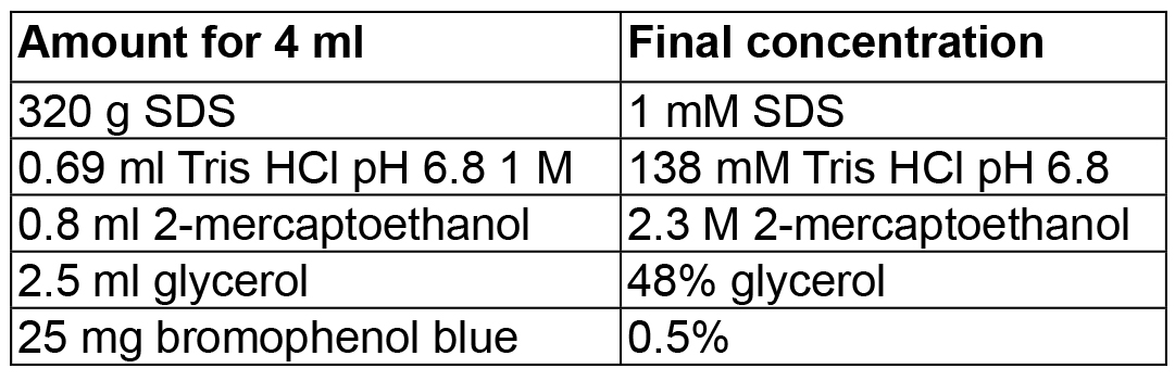 Analysis of Direct Interaction between Viral DNAbinding
