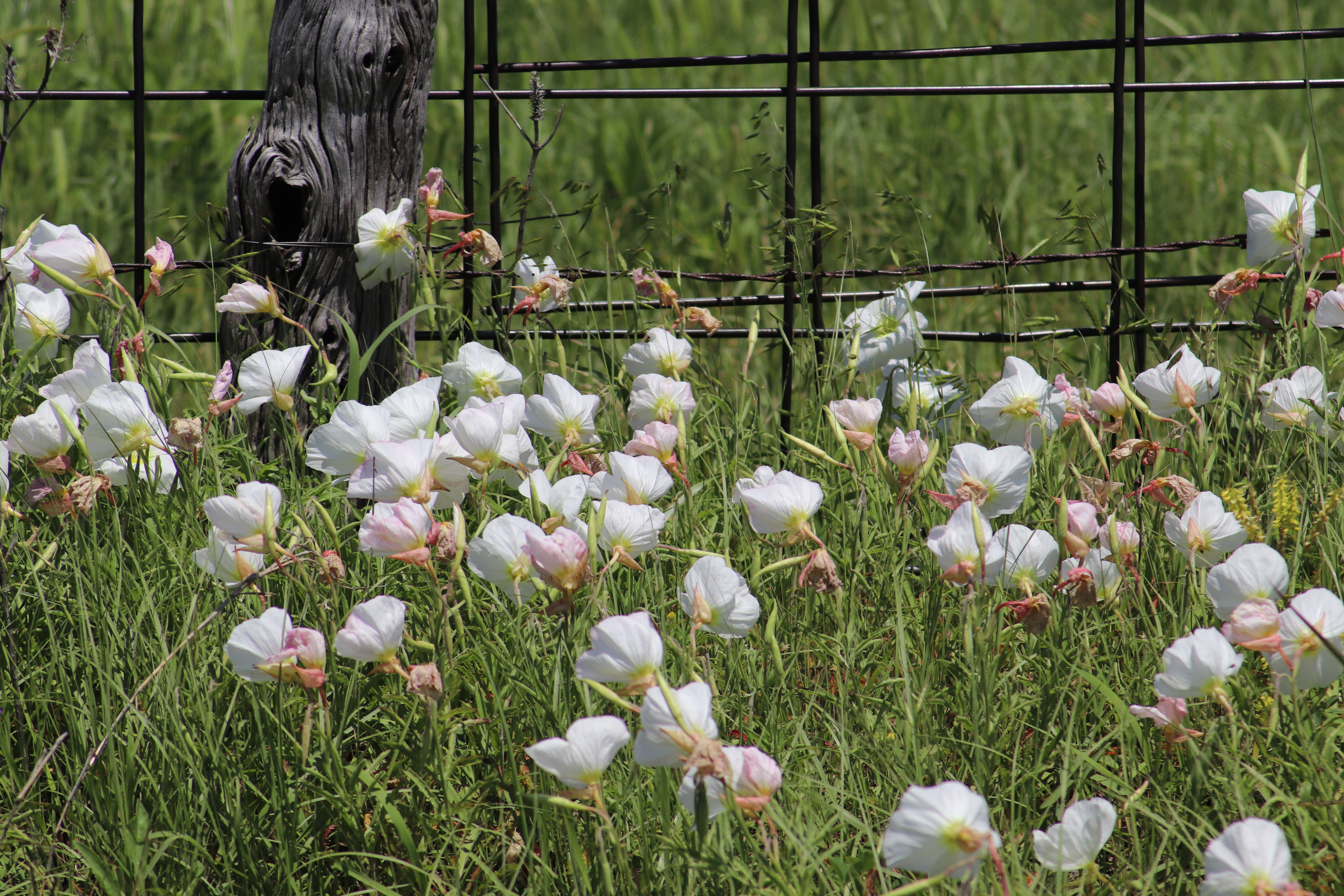Information Osage County Assessor's Office