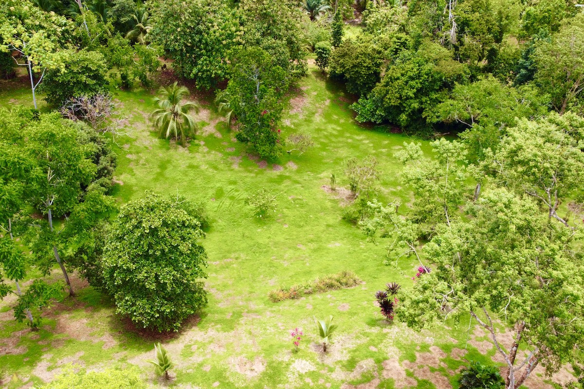 Osa Peninsula 10 Acres OffGrid Rural Setting Osa Land Office