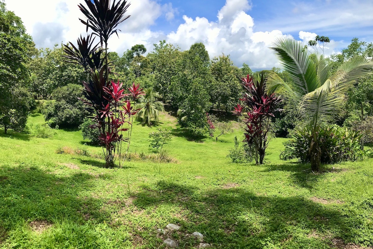 Osa Peninsula 10 Acres OffGrid Rural Setting Osa Land Office