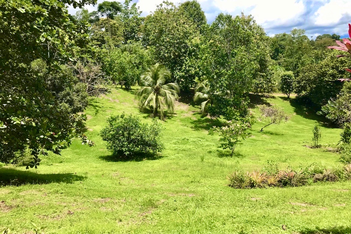 Osa Peninsula 10 Acres OffGrid Rural Setting Osa Land Office