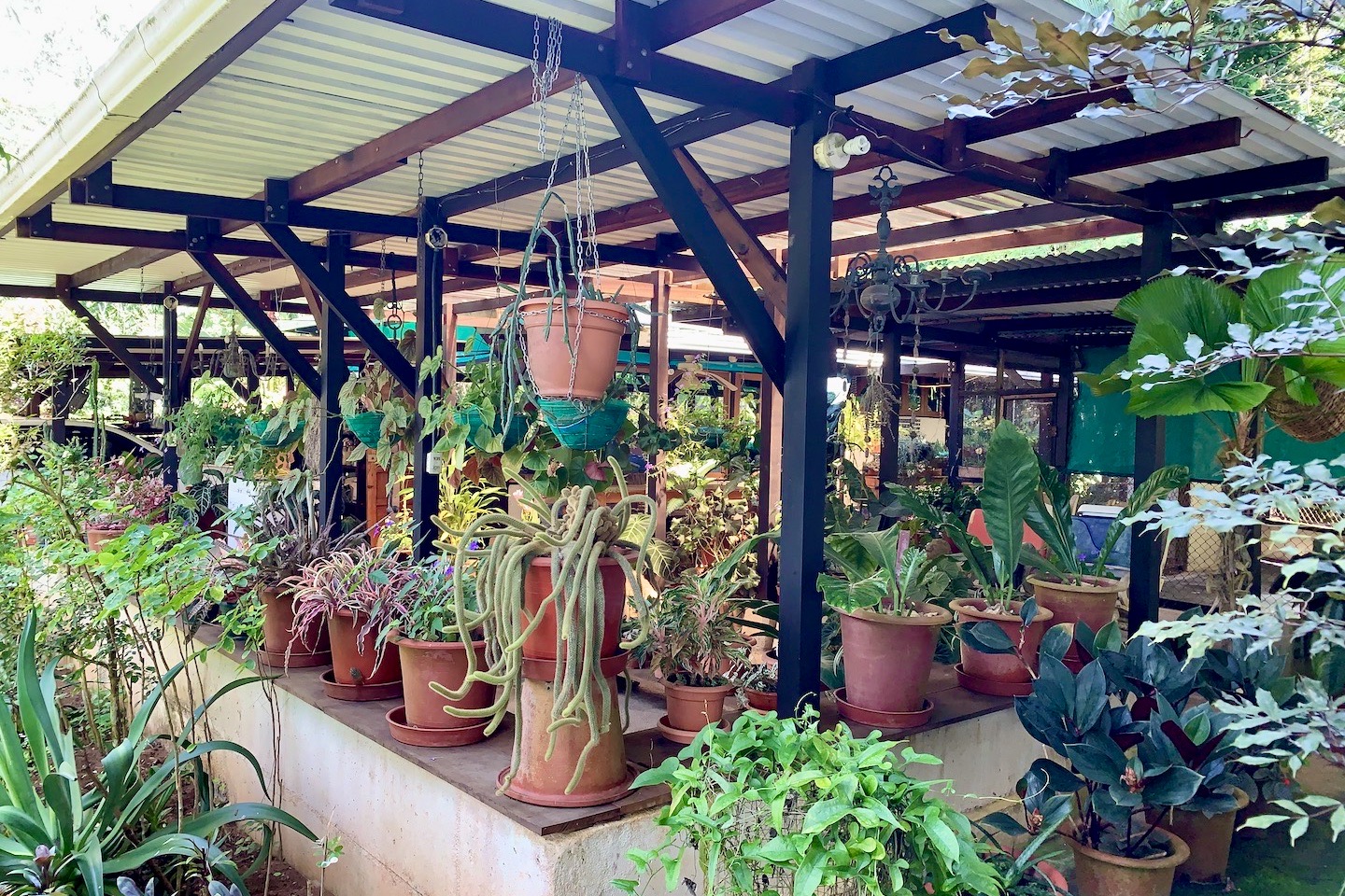 Ocean View Home 9 Acres Osa Peninsula Osa Land Office