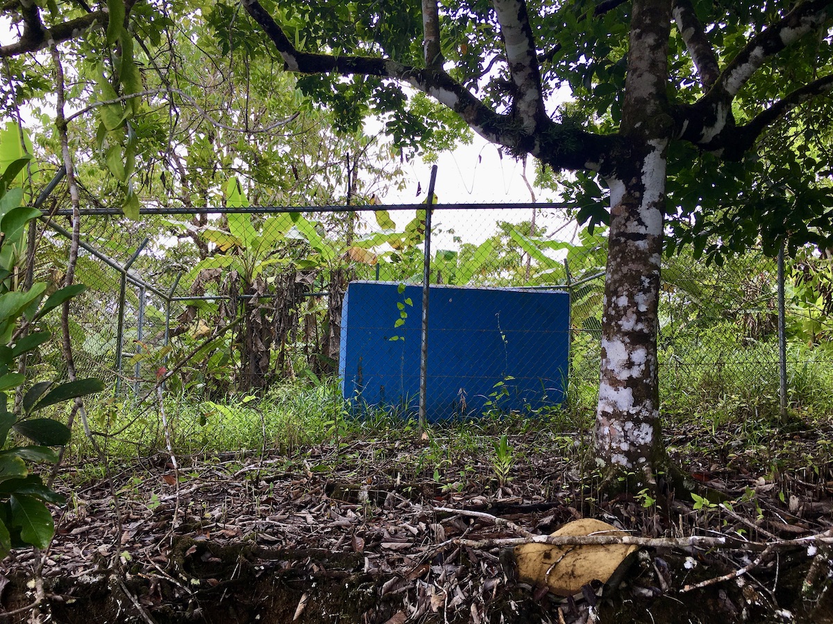 Forested Mountaintop Haven Osa Land Office