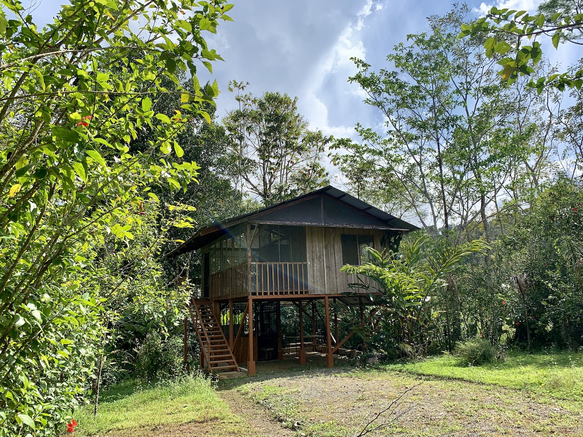 Forested Mountaintop Haven Osa Land Office