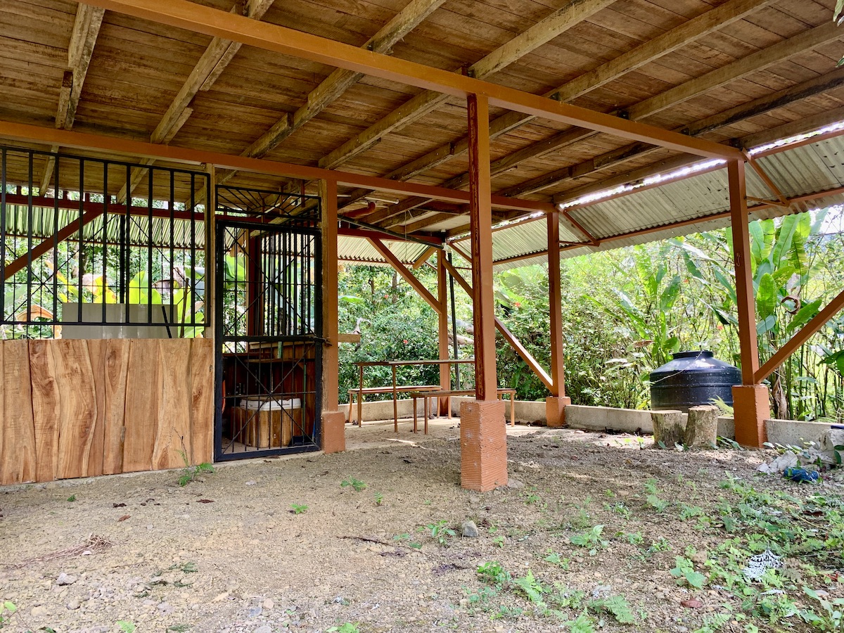 Forested Mountaintop Haven Osa Land Office