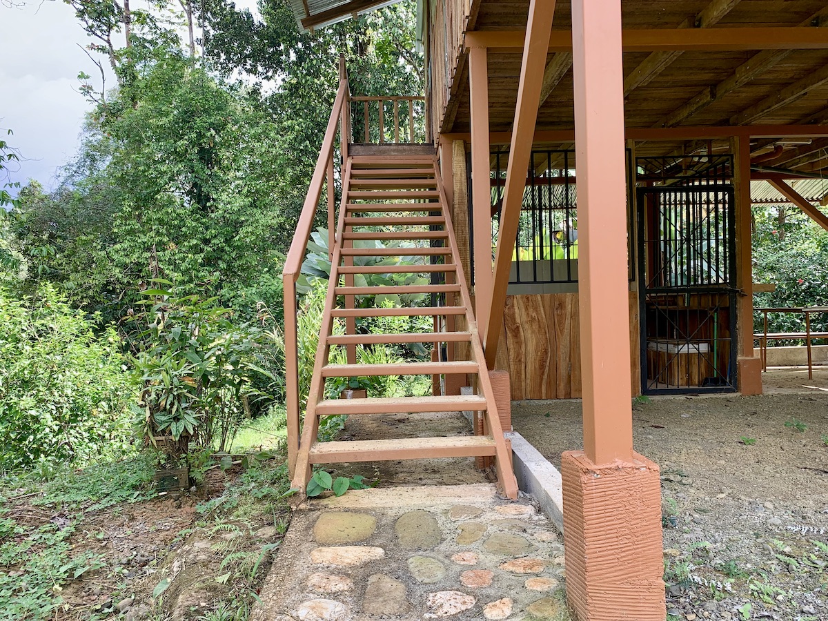 Forested Mountaintop Haven Osa Land Office