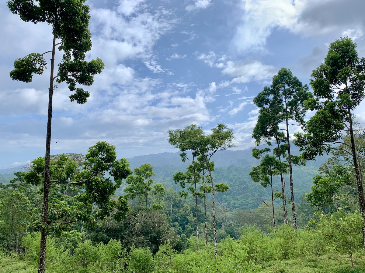 Mountain property in Osa Peninsula Osa Land Office