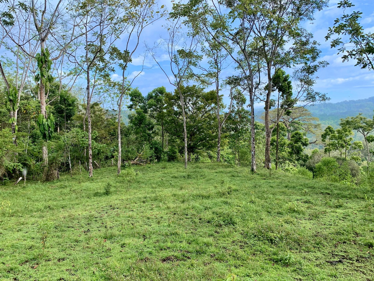 Mountain property in Osa Peninsula Osa Land Office