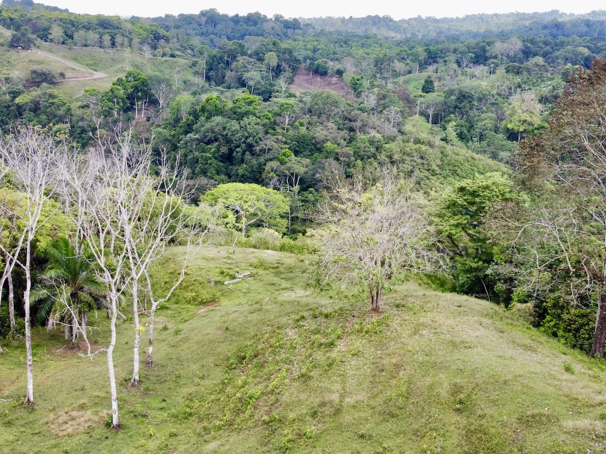 Mountain property in Osa Peninsula Osa Land Office