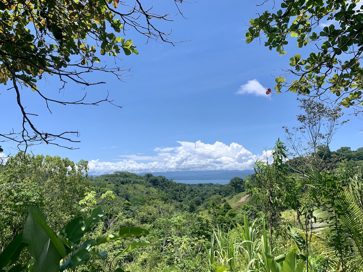 Ocean View Off Grid Mountain Homestead Osa Land Office
