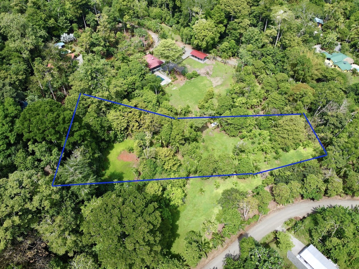 2 Acre Building Lot Great Price Osa Land Office
