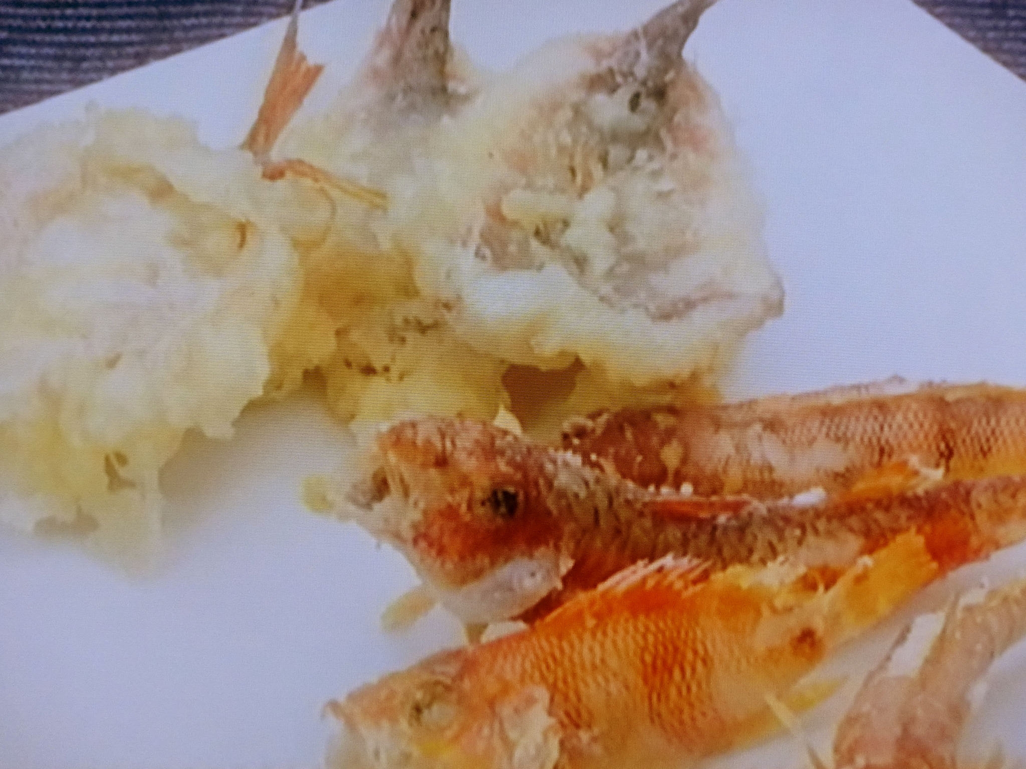 いろいろ ヒメ 魚 レシピ 276695ヒメ 魚 レシピ