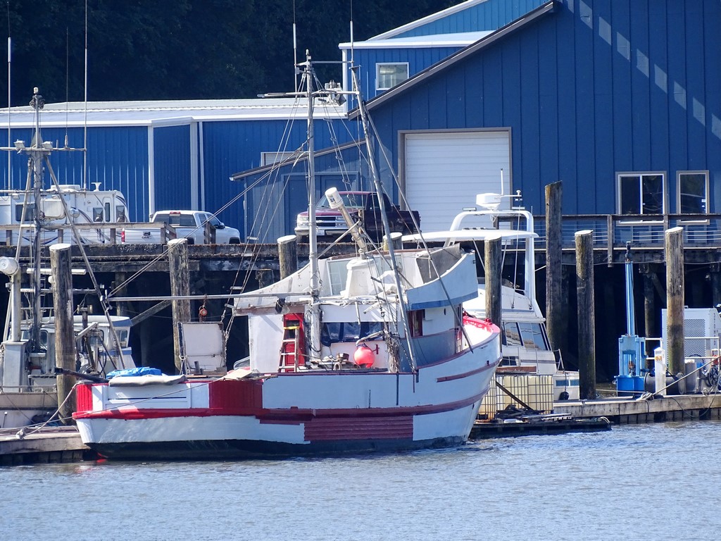 Willapa Bay, Washington Photos 1… To Our Slightly Crazy