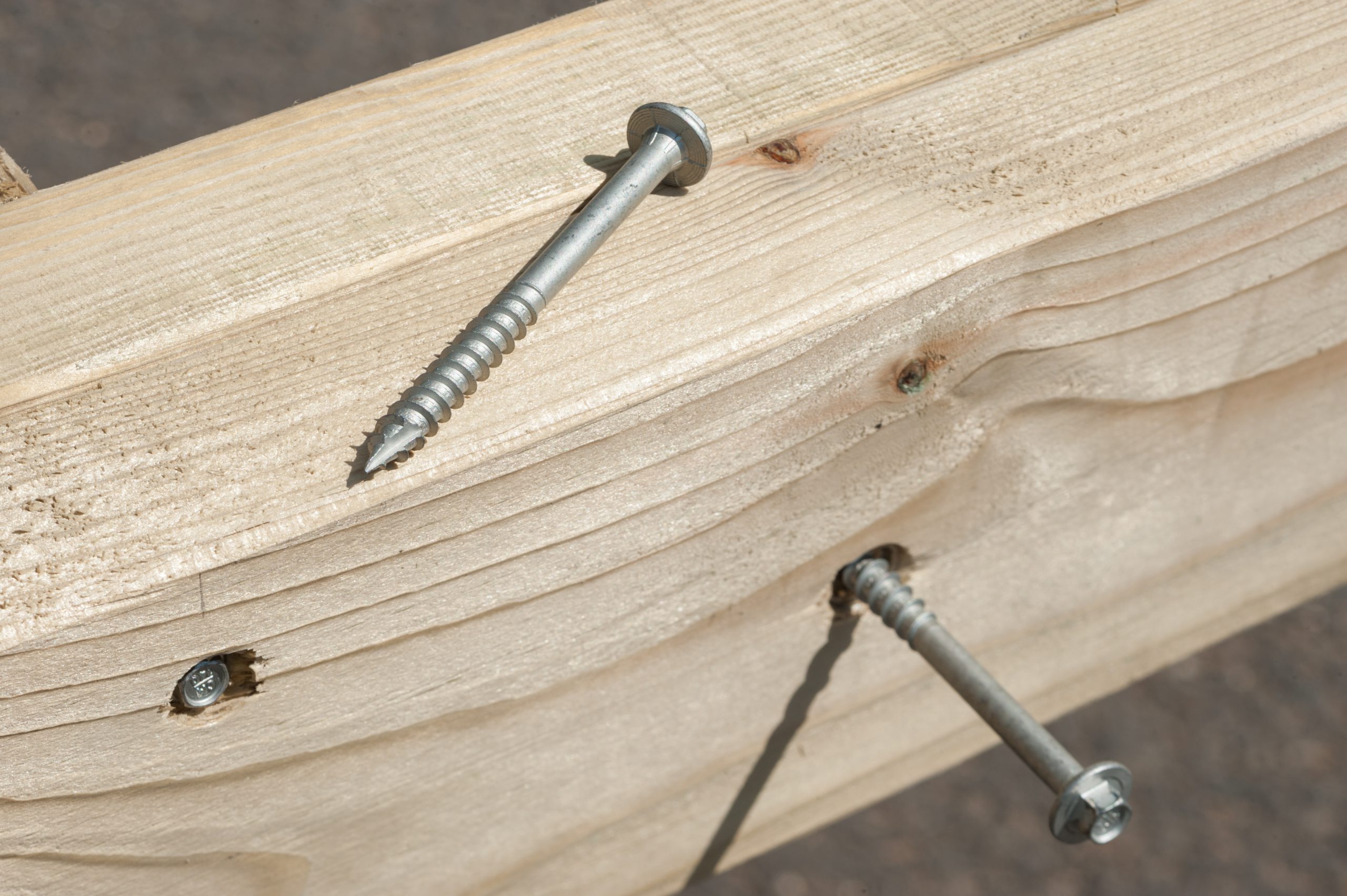 The different types of timber screws OSC Sales