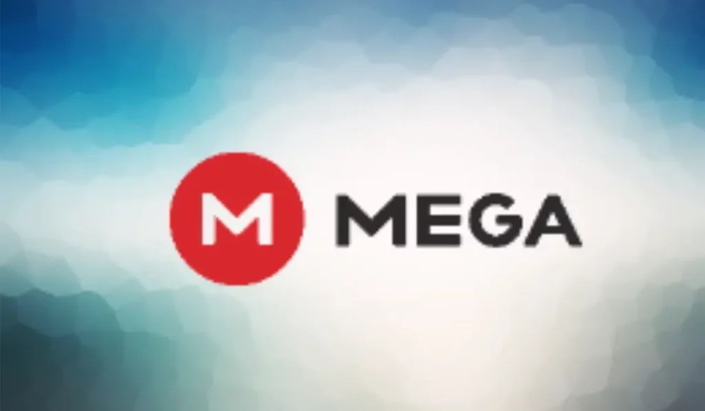 Things to Know About Mega Cloud Paperblog