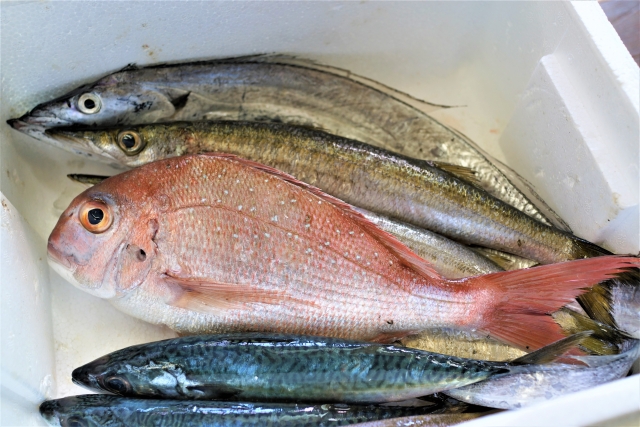 お中元 海産物（お魚） お歳暮＆お中元 人気商品の比較・通販