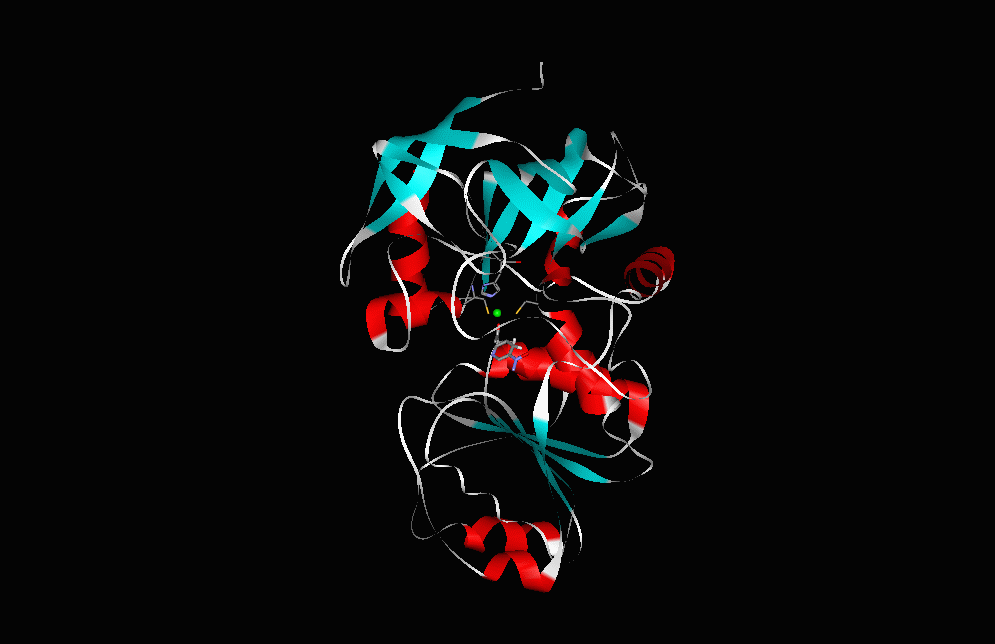 ALCOHOL DEHYDROGENASE
