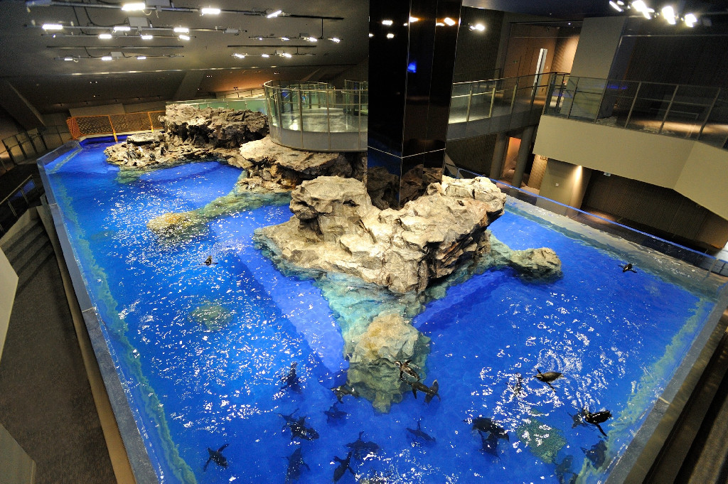 すみだ水族館｜おしはく情報館 ｜ おしごとはくぶつかん