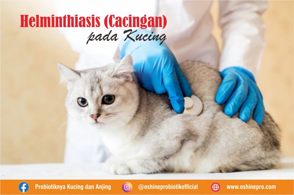 HELMINTHIASIS (CACINGAN) PADA KUCING