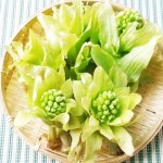 ホタルイカの茹で方 失敗しない方法は 目と口ばしの取り方と食べ方は おしえてルーム