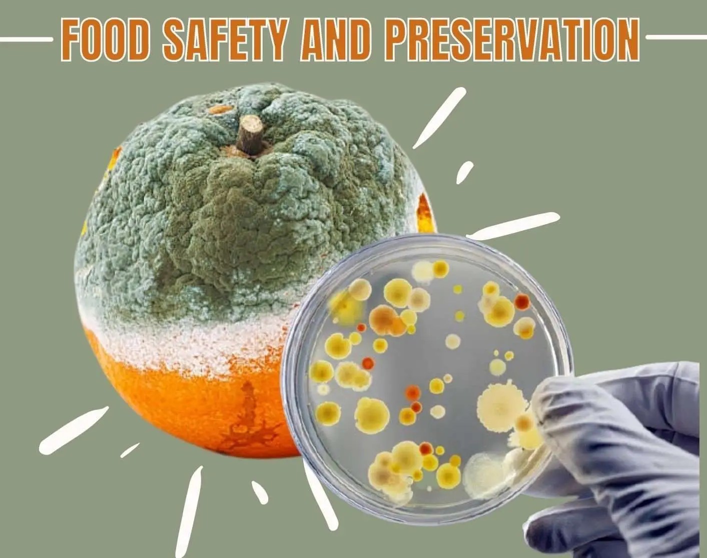 Food Safety and Preservation Spring 2022 Osiri University