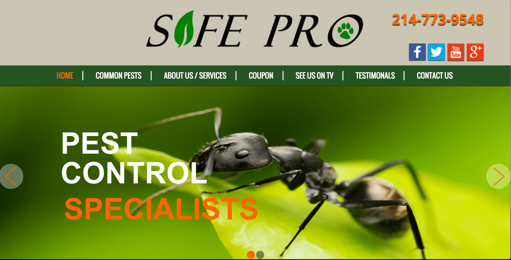 Safe Pro Pest Control New site, Frisco, TX Osky Blue