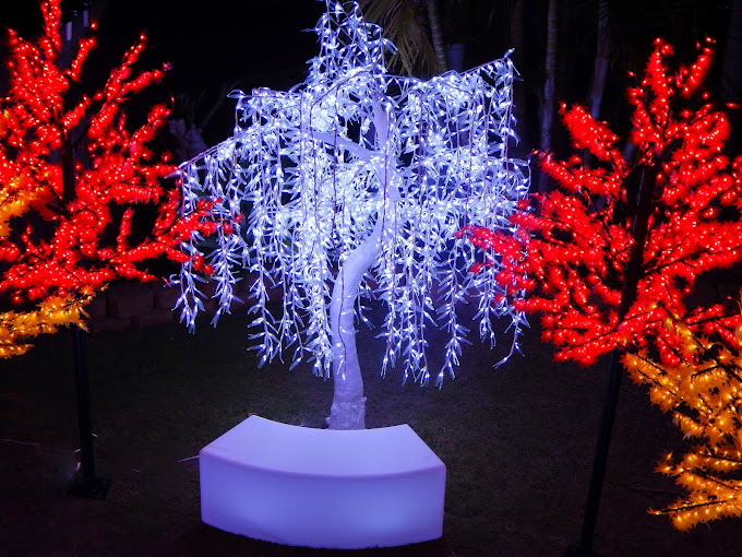 White Willow Tree LED Hire Gold Coast Brisbane Osmic Productions