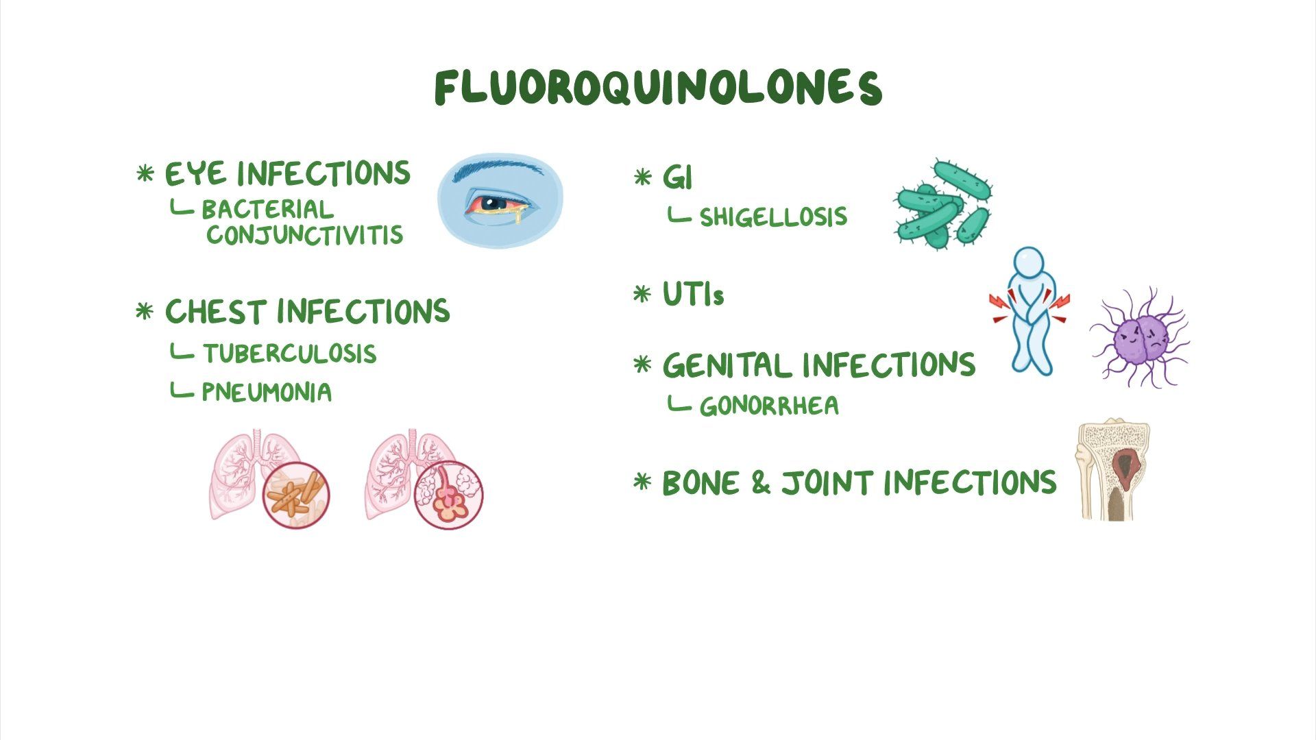 Antibiotics Fluoroquinolones Osmosis Video Library
