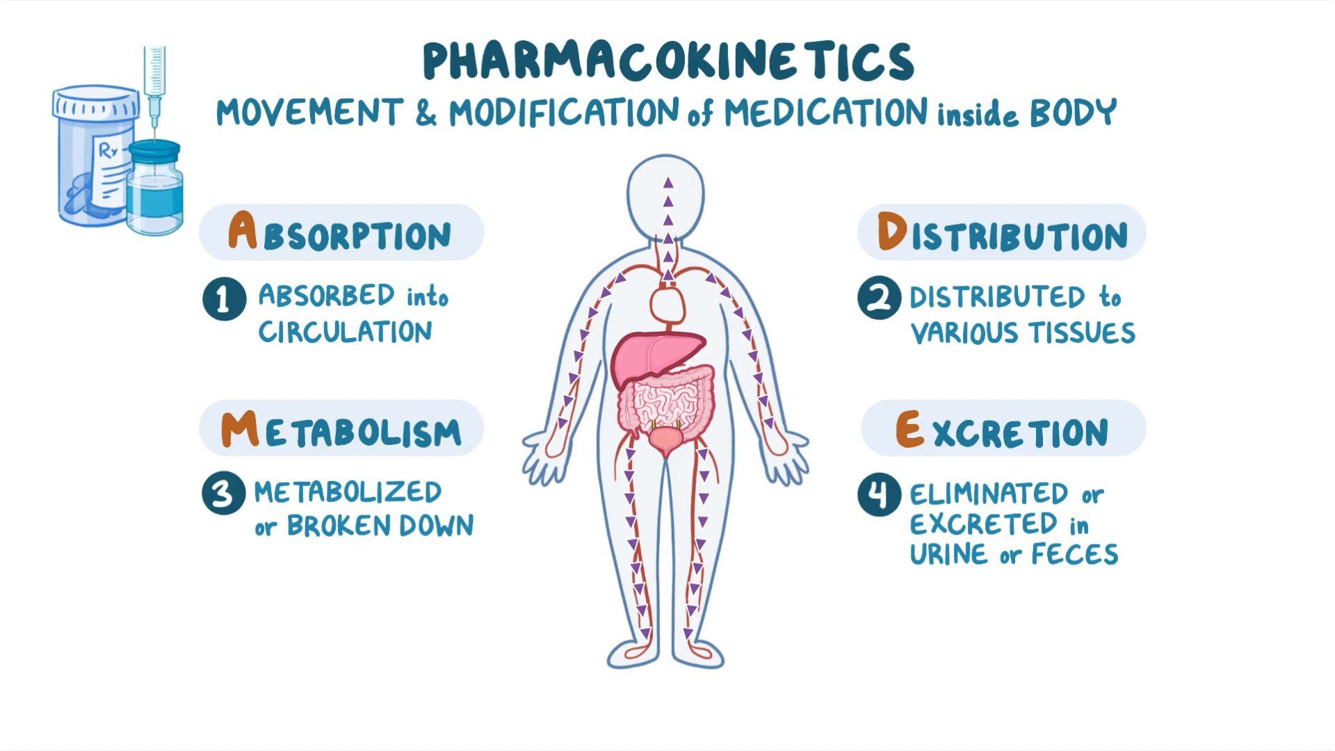 Metabolism Nursing pharmacology Osmosis Video Library