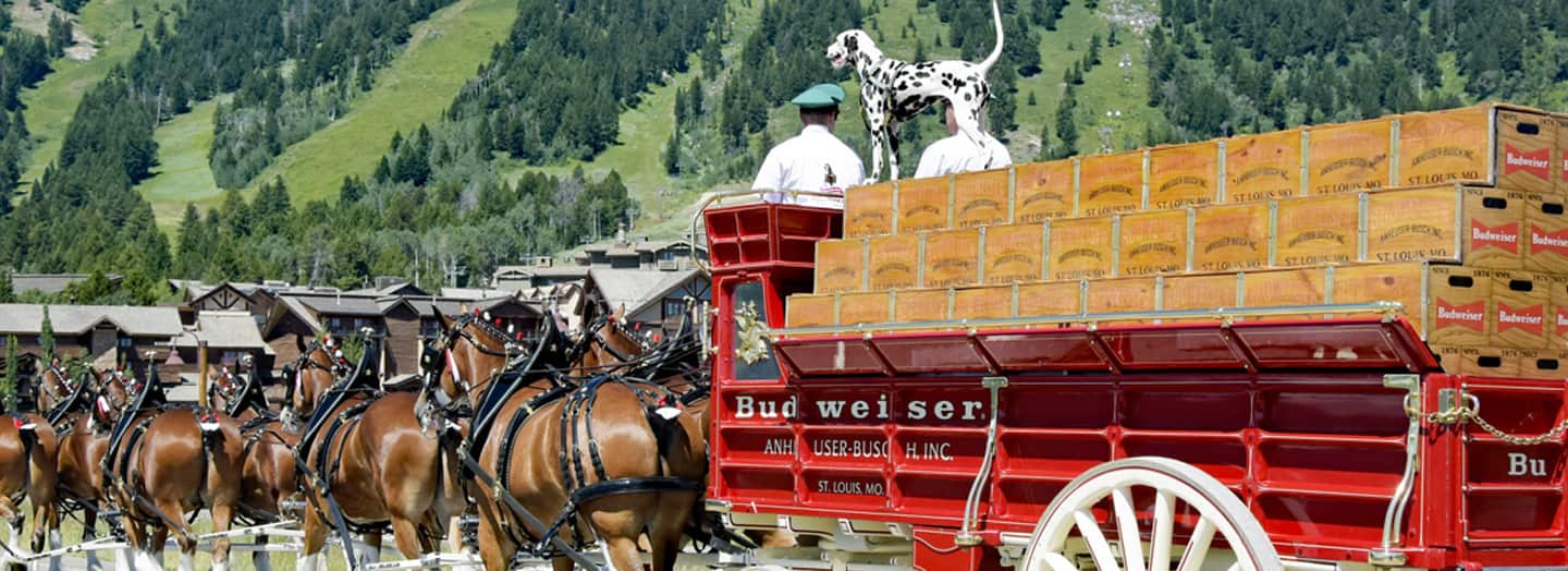 Jackson Hole, WY Osprey Beverages Jackson Hole, WY