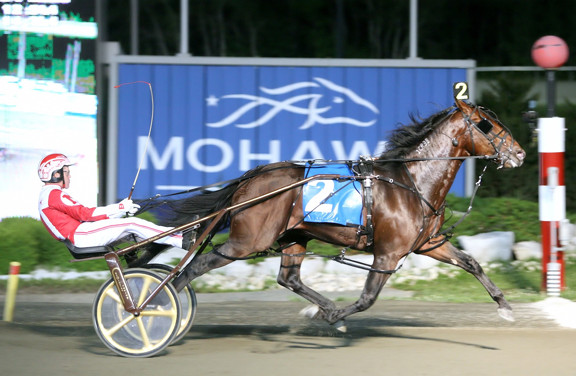 NA Cup Rewind Canada’s Horse Wins Canada’s Race Ontario Sires Stakes