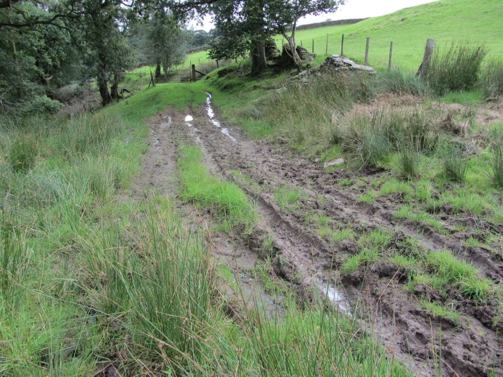 Old diversions for FP 186 checking out a footpath near Penycoedcae