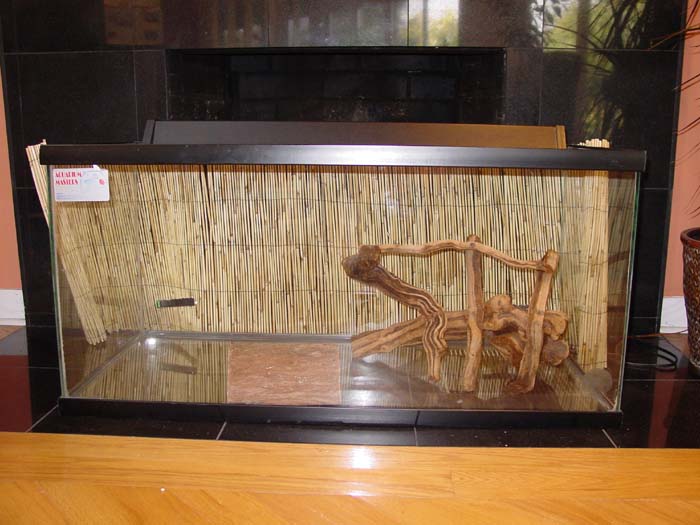Reptile Tanks Lizards Reptile Tanks For SaleReptile Tanks For Sale