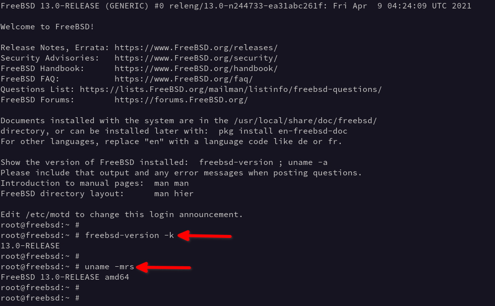 How To Upgrade To FreeBSD 13 From FreeBSD 12 OSTechNix