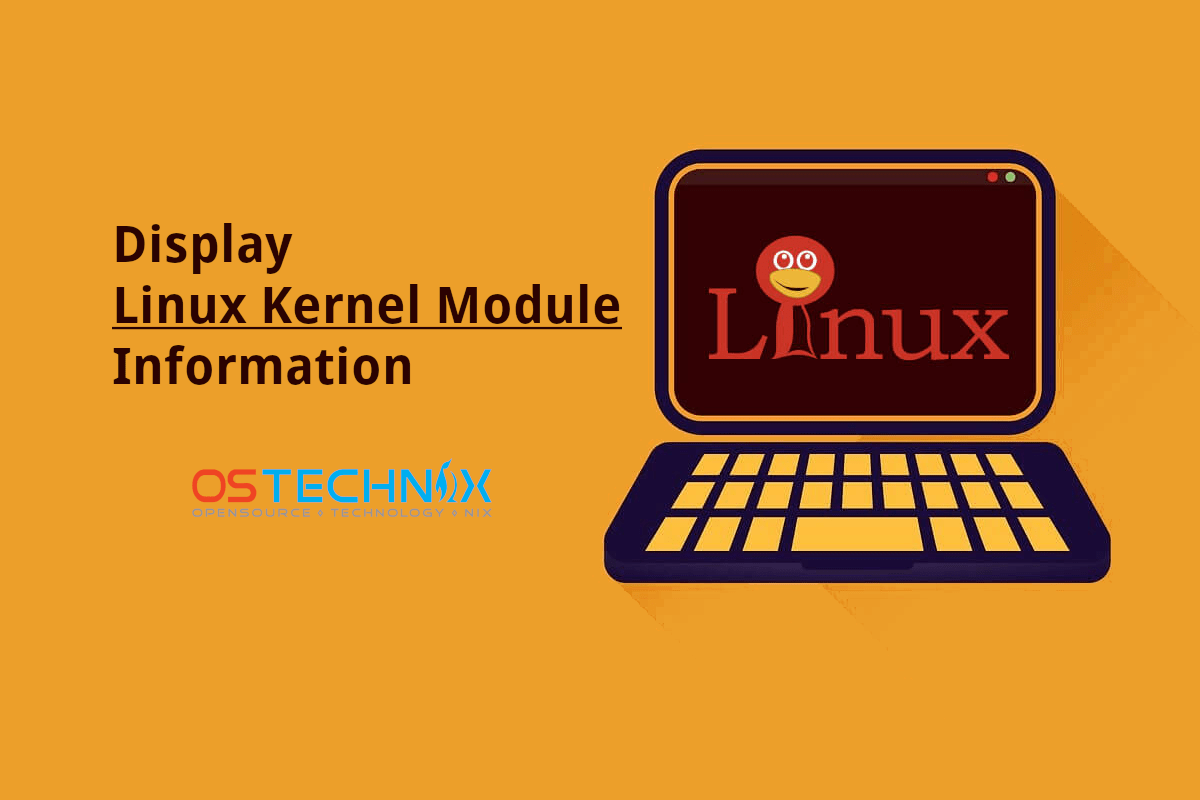 Display Linux Kernel Module Information With Modinfo Command OSTechNix