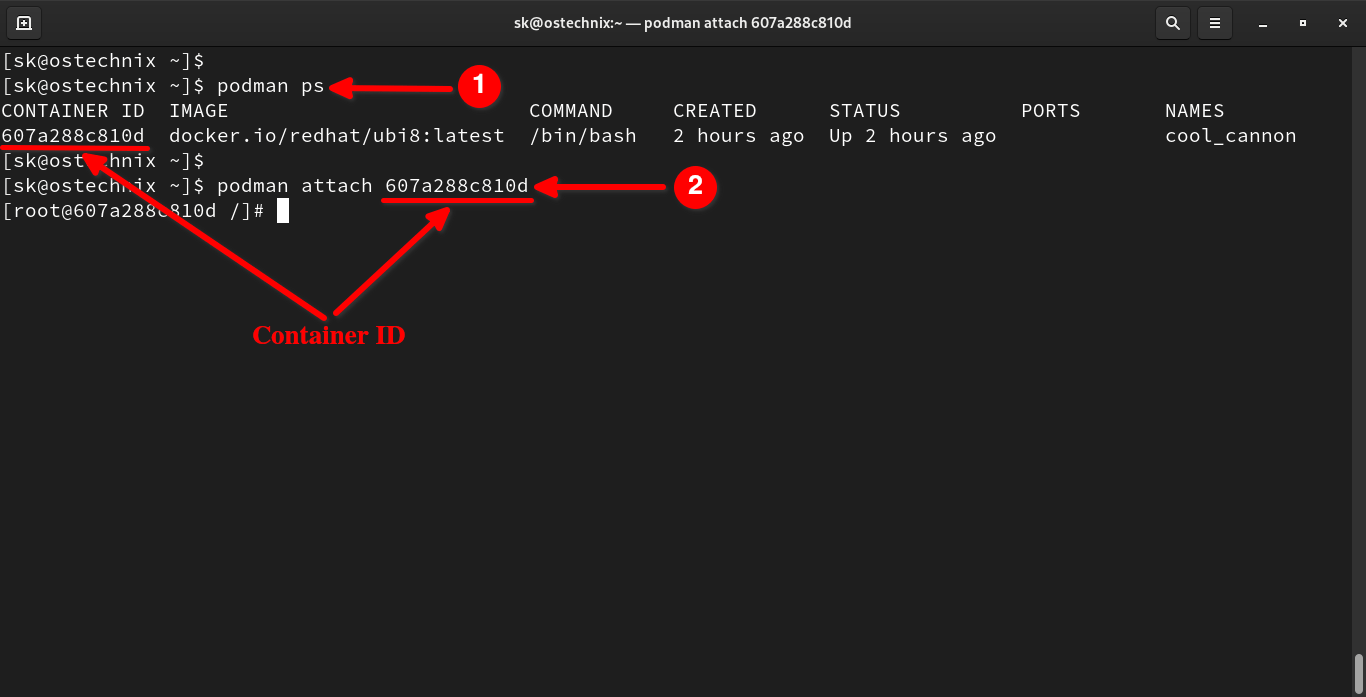 Podman 教程 Podman 入门 Linux基础博客