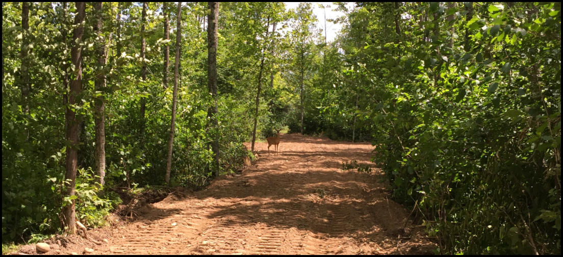 Osterlund Excavating Iron River MI Excavation Contractor