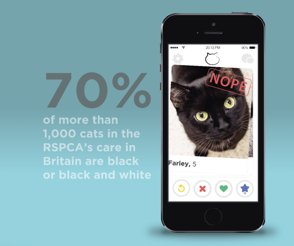 Cats Protection - Creative Social Media Campaign - Ost - B2B Social Media Agency