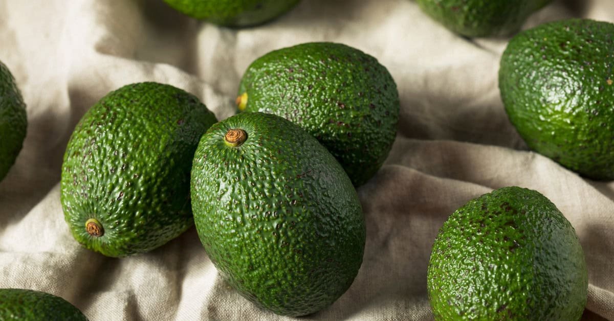 Can You Eat Unripe Avocado? What To Do When It Is Not Ripe Enough