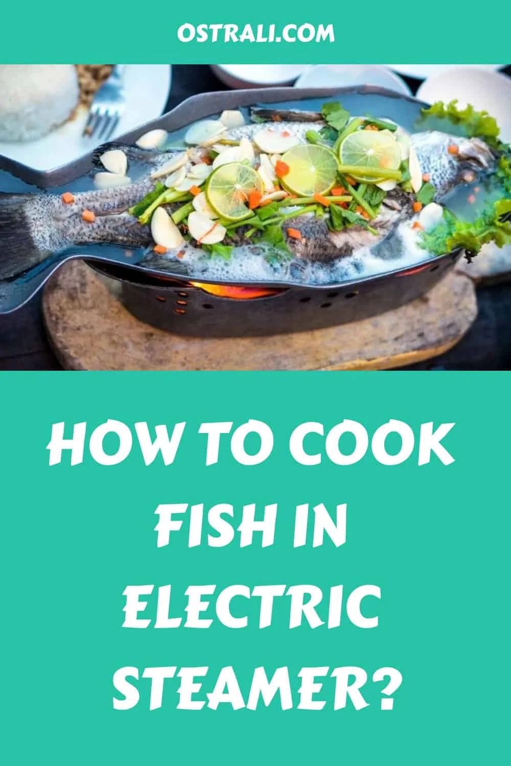 How to Cook Fish in Electric Steamer?