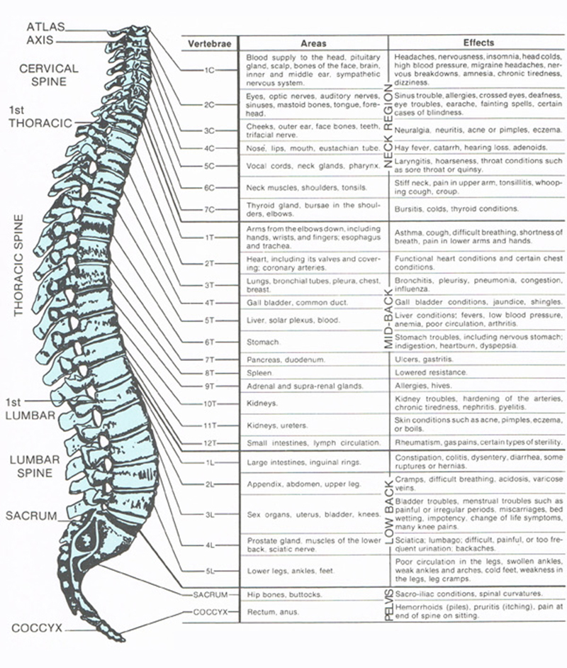Spinal Misalignment Ostrander Chiropractic