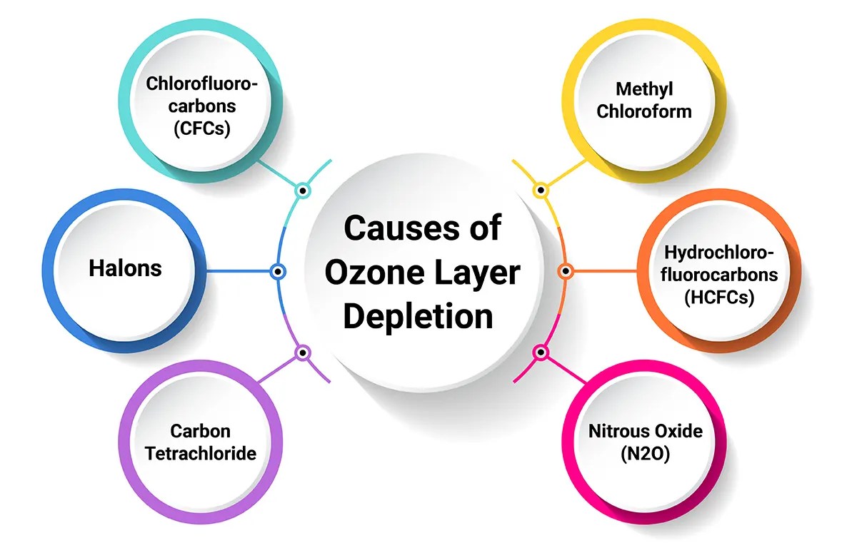 Ozone Layer Depletion Essay in English for Students