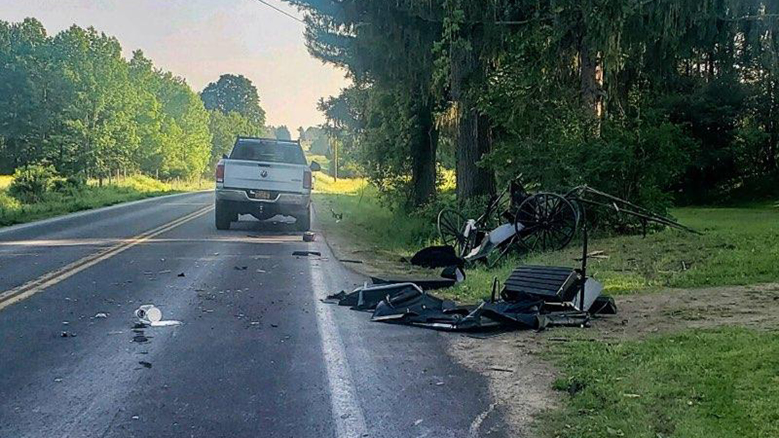 State Police Investigate Fatal Amish Buggy Crash In Richland Oswego