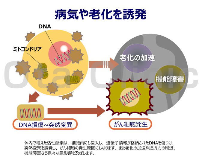 活性酸素（酸化ストレス、抗酸化力）測定 おおた内科消化器科クリニック