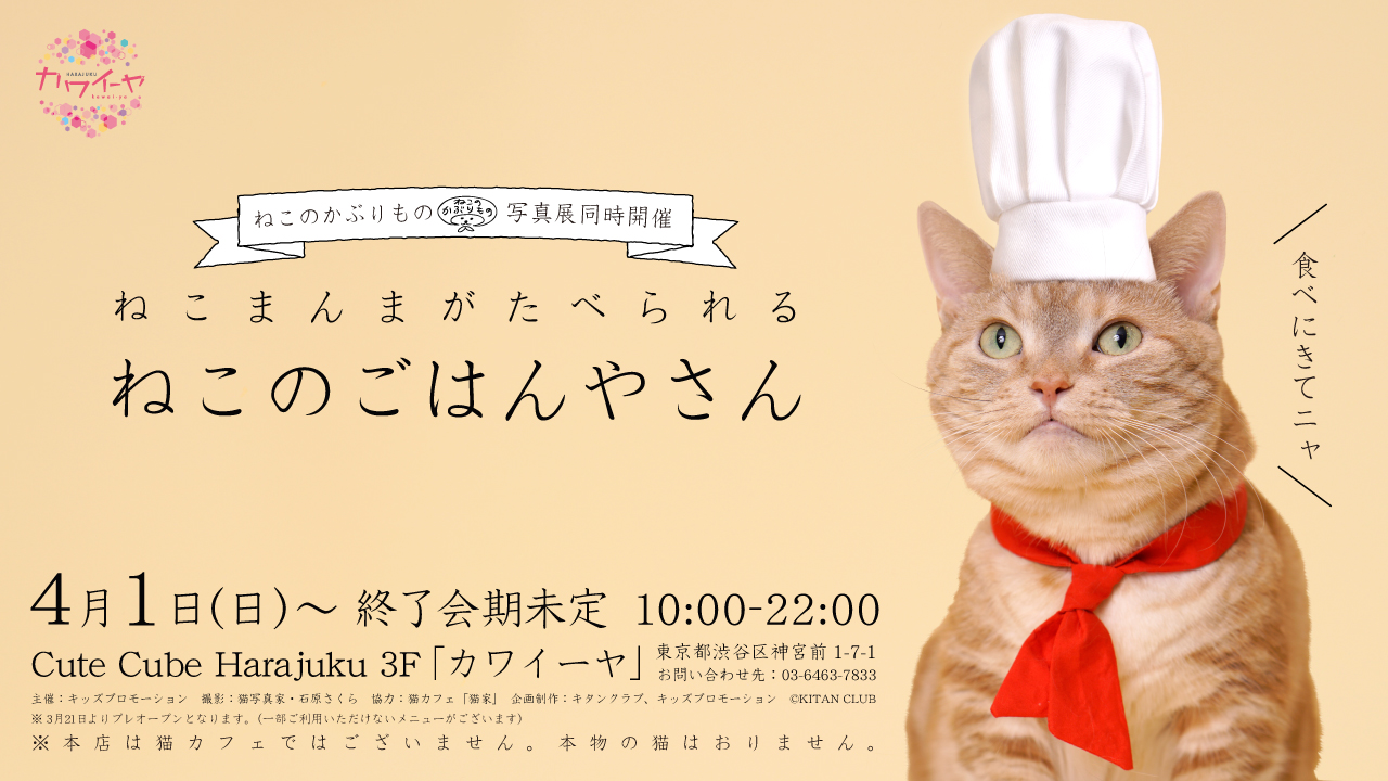 スペシャル猫まんまが食べられる「ねこのごはんやさん」、原宿で開幕！！ おたくま経済新聞